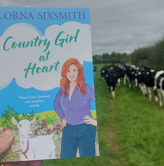 First Diary Entry for 'Country Girl at Heart'