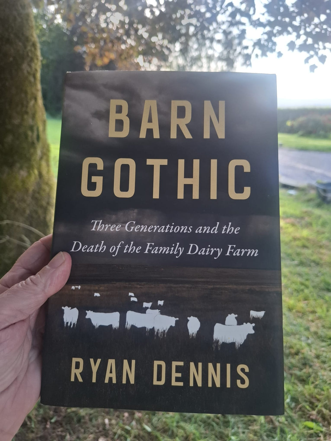 Review of Barn Gothic by Ryan Dennis