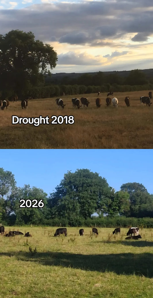 Is the drought of 2026 worse than 2018? A farmer's perspective.